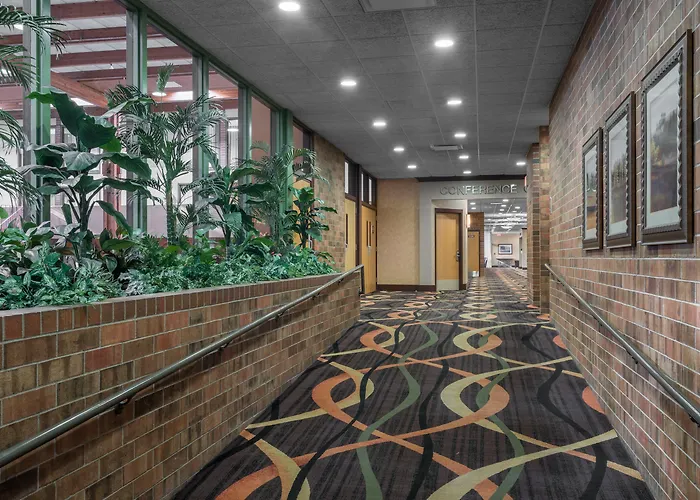 Cheap hotel: Holiday Inn & Suites St. Cloud By Ihg